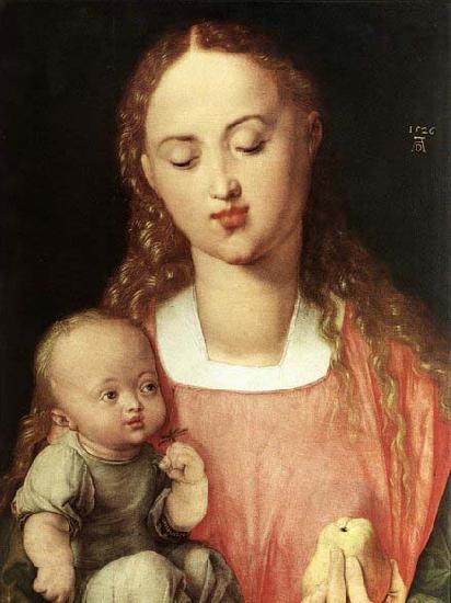 Albrecht Durer Madonna and Child with the Pear